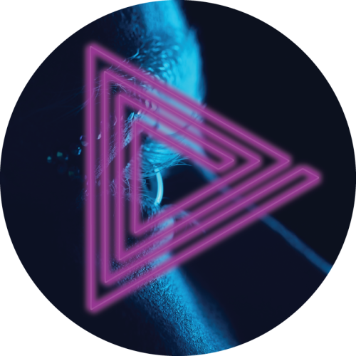 Nosotros-v1
